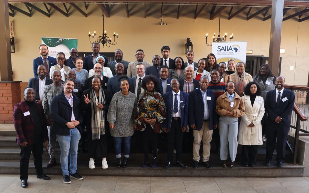 Southern Africa Reflects on Civil Society’s Role in the APRM and Plans for the Future